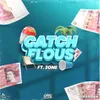 About Catch Flous (feat. 3One) Song