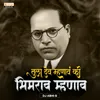 About Tula Dev Mhanav Ki Bhimrao Mhanav Song