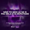 About Não To Nem Aí Se o Deputado Éo Pai Dela Song