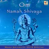 Om Namah Shivaya - at 432 Hz