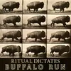 About Buffalo Run Song