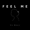 About Feel Me Song