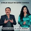 About Ayrılık Kolaymı Senin Yanında Song