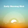 Early Morning Bird