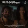 About Todo Está Cayendo (Suro - Banda Sonora Original) Song