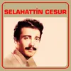 About Perişan Song