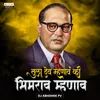 About Tula Dev Mhanav Ki Bhimrao Mhanav Song