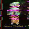 About Versacen Verkkarit Song