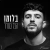 About הכל בסדר Song