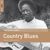 Johnson City Blues