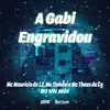 About A Gabi Engravidou Song