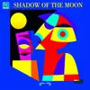 About The Shadow Of The Moon Song
