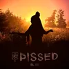 About Pissed Song