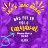 Não Fui Eu, Foi o Carnaval