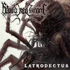 About Latrodectus Song