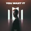 About You Want It Song