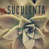 About Suculenta Song