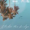 About Under the Bridge Song