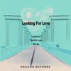 About Looking for Love Song