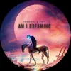 About Am I Dreaming Song