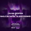 About Calma Respira x Baile Da Safra Ta Gostozinho Song