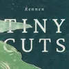 About Tiny Cuts Song