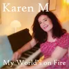 About My World's on Fire Song