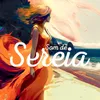 About Som de Sereia Song
