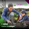 About El Sena Vuelve Al Campo Song
