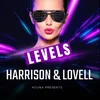 About Levels Song