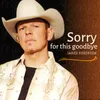 About Sorry For This Goodbye Song