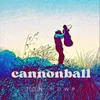 Cannoball