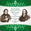 Arpeggione Sonata, D 821, in A Minor: I. Allegro Moderato (arrangement for violin and guitar by Konrad Ragossnig)