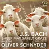 Cantata, BWV 208: IX. Sheep May Safely Graze (Arr. For Piano by Egon Petri) [Live Recording, Zürich 2012]