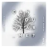 About Can you hear me? Song