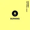 Burning (feat. Lauren L'aimant)