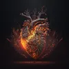 About Hearts On Fire Song