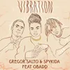 About Vibration Song