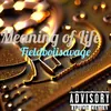 About Meaning Of Life Song