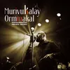 About Murivukalay Ormmakal Song