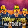 About I Want To Be Irish Song