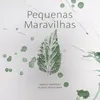 About Pequenas Maravilhas Song