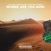 About Where Are You Now Song