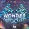 About Wonder Song