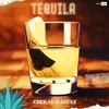 About Tequila Song