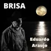 About Brisa Song