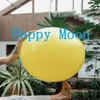 About Happy Moon Song