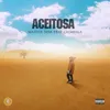 About ACEITOSA Song