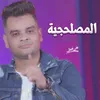 المصلحجية