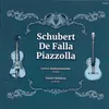 Arpeggione Sonata, D. 821: I. Allegro moderato (Arr. for Violin and Guitar by D. Bolshoy) [Live]